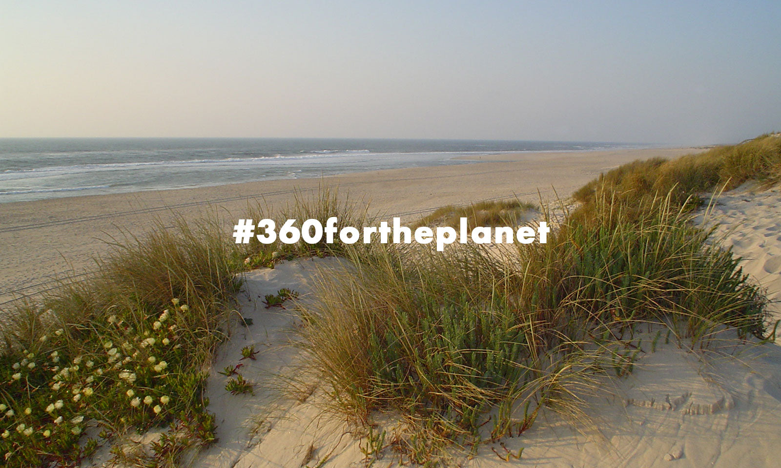 Earth Month 1% For The Planet