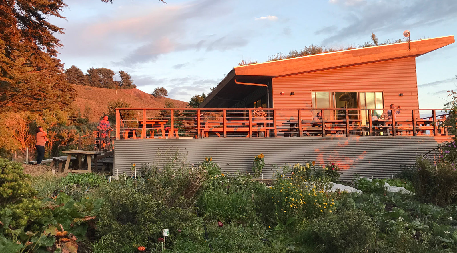 Visiting Shao Shan Farm and the Asians of West Marin Potluck