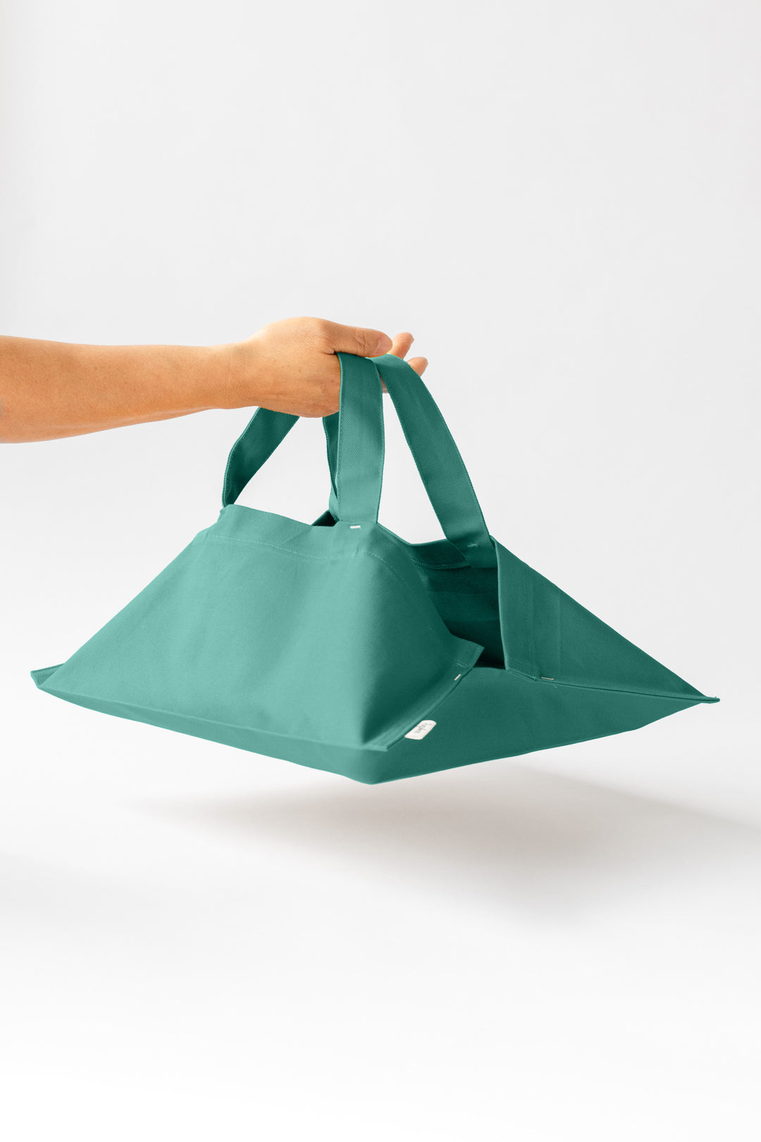 Plat Dish Tote | Kale